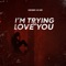 I’m Trying to Love You artwork