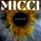Illusion - Micci lyrics