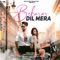 Bekarar Dil Mera artwork