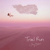 Trial Run artwork