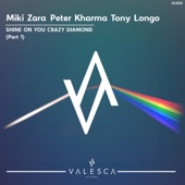 Shine On You Crazy Diamond (Peter Kharma Mix) artwork