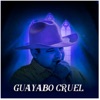 Guayabo Cruel, 2023