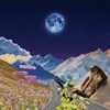 Once in a BLUE MOON - Single