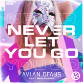 Never Let You Go (feat. Ben Adams) artwork