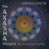 The Akasha Project artwork