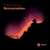 Reincarnation - Single