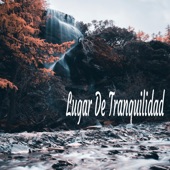 Lugar De Tranquilidad artwork