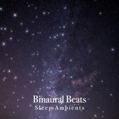 Sleep Ambients (Live) artwork