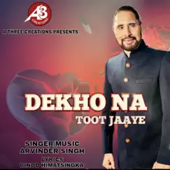 Dekho Na Toot Jaaye - Single by Arvinder Singh album reviews, ratings, credits
