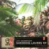 Shedding Layers - EP album lyrics, reviews, download