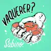 Vaquerer? - Single album lyrics, reviews, download