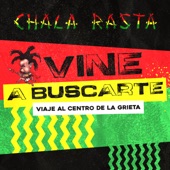 Vine a buscarte (Viaje al centro de la grieta) artwork