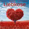 Stream & download Liebkose (feat. Dimitrios V & Jan-Heie Erchinger) - Single