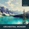 Orchestral Wonder artwork