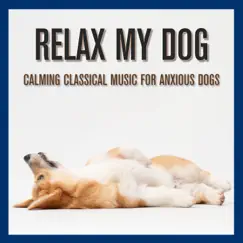 Relax My Dog: Calming Classical Music for Anxious Dogs by Relaxmydog & Dog Music Dreams album reviews, ratings, credits