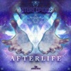 Afterlife - Single