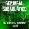 Stream & download Berimbau Subaquático - Single