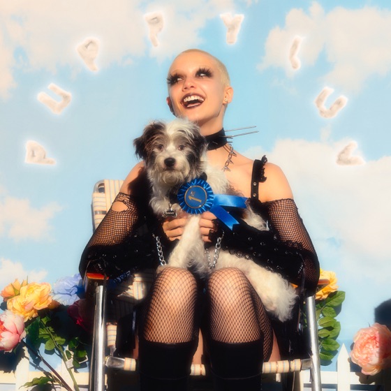 Cover artwork for sammy