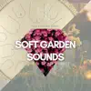 Soft Garden Sounds and Hang Drum Music album lyrics, reviews, download