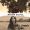 Zind e Grane'n Safar - Naeem Dilpul lyrics