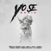 Stream & download Yo Se (Remix) - Single [feat. Baby Johnny, Jehza, Anubiis, Jetson "El Super", Joy Almanyk & Producto Sin Corte] - Single