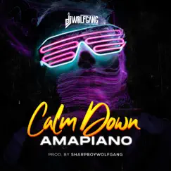 Calm Down Amapiano - Single by Dj Wolfgang album reviews, ratings, credits