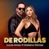 De Rodillas (Versión Popular) - Single
