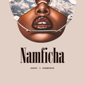 Namficha artwork