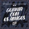 Goiania Com os Amigos - Single