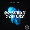 Do What You Like - Single
