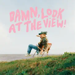 Damn, Look at the View ! (Deluxe) by Martin Luke Brown album reviews, ratings, credits
