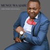 Mungu Wa Ajabu - Single