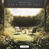 Can't Feel My Face - Single