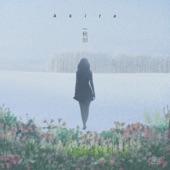 Akita (feat. hartts) artwork