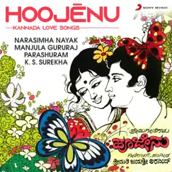 Hoojenu by Various Artists album reviews, ratings, credits