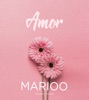 Mi Amor (Acoustic) - Single