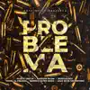 Problema (feat. Quimico Ultra Mega & Lolo en el Microfono) - Single album lyrics, reviews, download