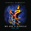 We Are a Miracle - Yaakov Shwekey