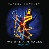 מאמין בניסים - Yaakov Shwekey