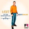 Liebe ist ein Nonstopflug - Single