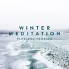 Winter Meditation (After Vivaldi's "Four Seasons", Violin Concerto, RV 297: II. Largo) - Single album lyrics, reviews, download