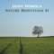 Caring - Josef Homola lyrics