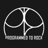 Programmed to Rock [Ptr] - Single