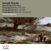 Párkányí Quartet - String Quartet No. 2 in E Flat Major, Op. 33, Hob. III:38 "The Joke": IV. Finale. Presto
