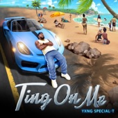 Ting On Me (Sped Up Version) artwork