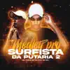 Medley pro Surfista da Putaria 2 - Single album lyrics, reviews, download