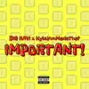 Important! - Single album lyrics, reviews, download
