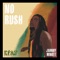 No Rush artwork