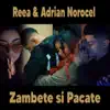 Zambete si Pacate (feat. Adrian Norocel) - Single album lyrics, reviews, download
