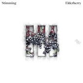 Stimming - The Seeker